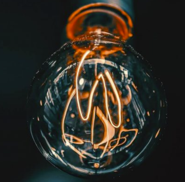 Lightbulb Idea Startup Cohort Incubator